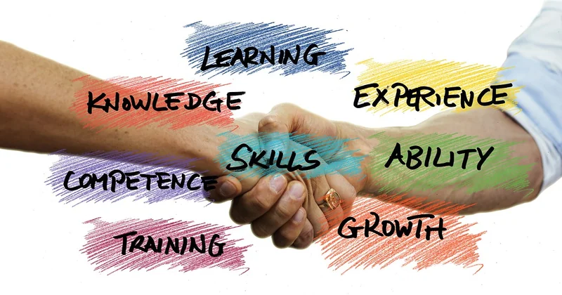 Quelles sont les 4 principales stratégies de développement ?
